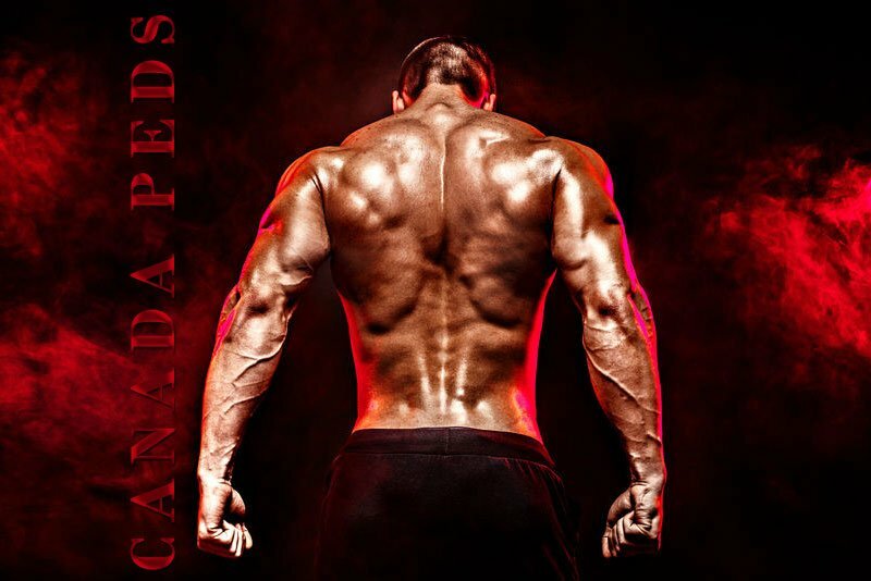 canadian bodybuilder on steroids
